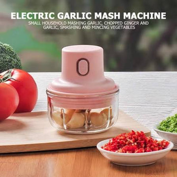 electric mini chopper